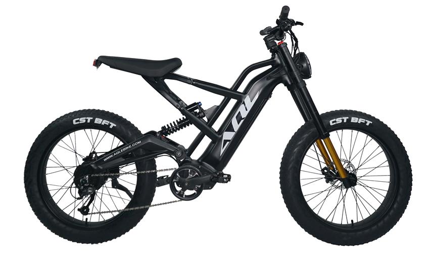 High Performance Off-Road Crossover Electric Bicycle